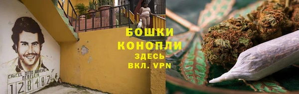 крисы Баксан