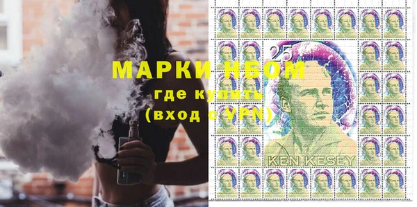 индика Балахна