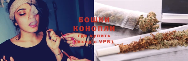 крисы Баксан