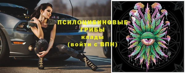 крисы Баксан