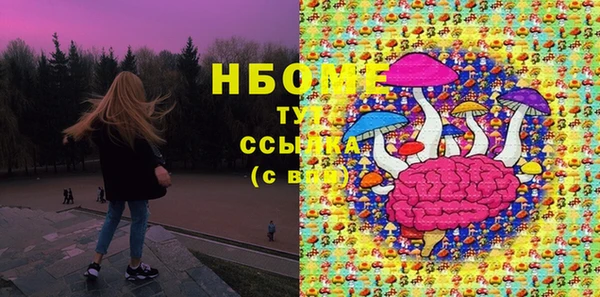 индика Балахна
