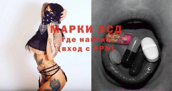 индика Балахна
