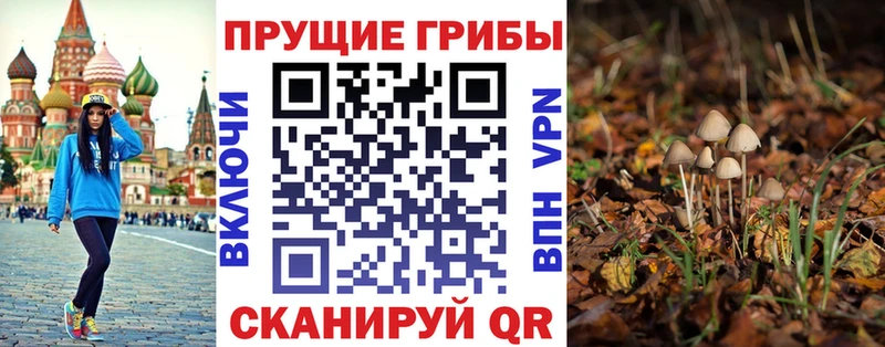 Галлюциногенные грибы GOLDEN TEACHER Константиновск
